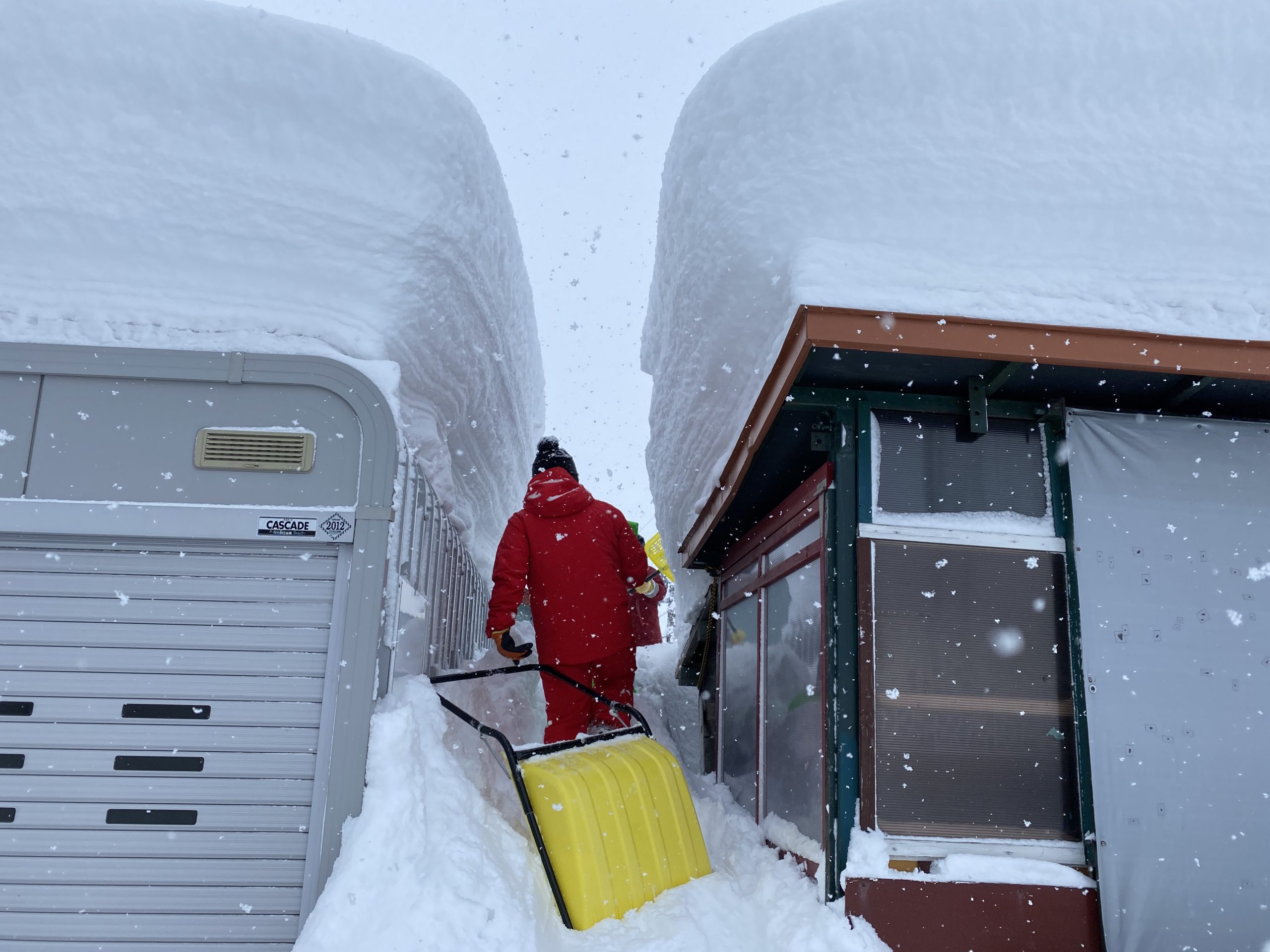 雪雨ページ 夏に雨降らせなくてすまんかったな😅 年間降水量、ちゃんと帳尻合わせ