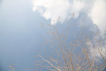 Img_3019 Img_3019