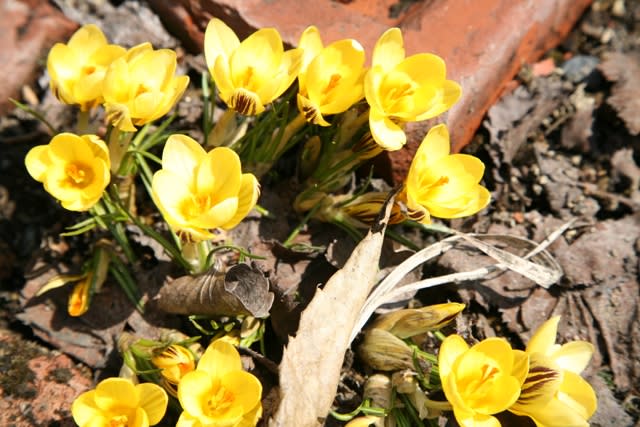090408_4 090408_4