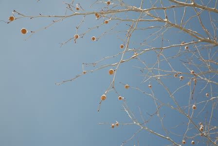 Img_3018 Img_3018