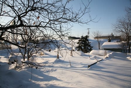 080302 080302