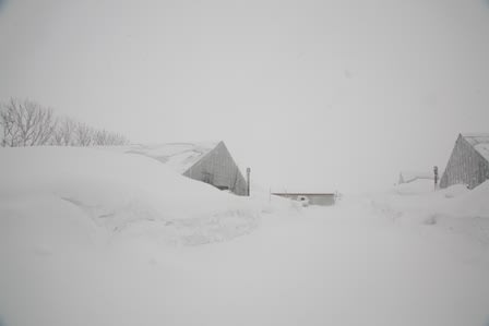 140308_5 140308_5