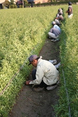 Img_3226 Img_3226