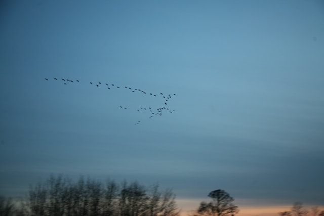 090412_1 090412_1