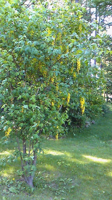 Photo Photo