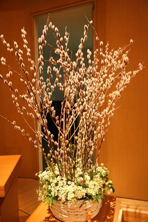 Img_8395_3 Img_8395_3