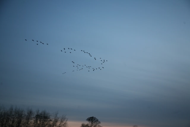 090412_2_2 090412_2_2