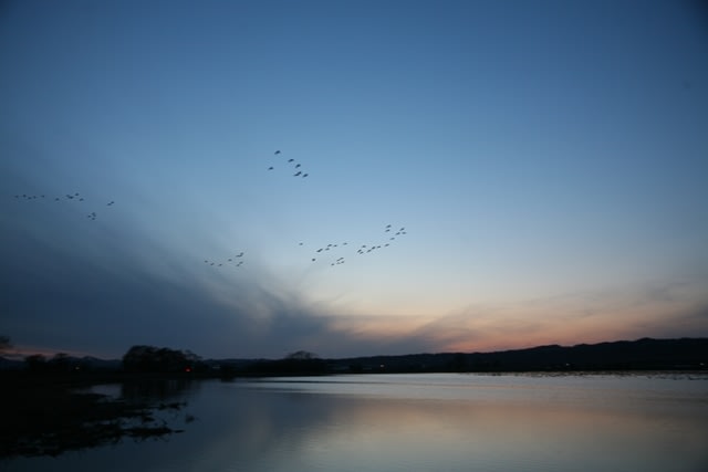 090412_5 090412_5