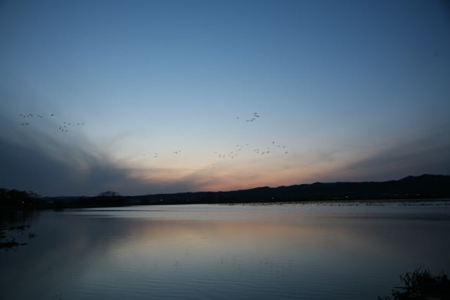 090412_6 090412_6